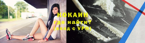 гашик Корсаков