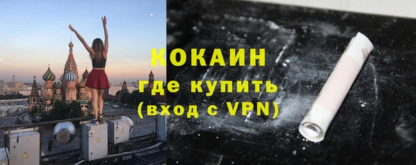 гашик Корсаков