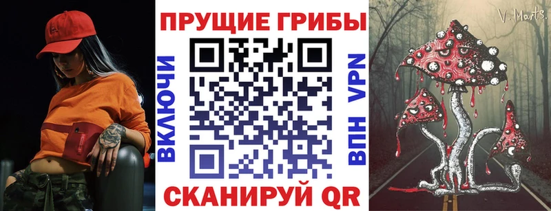 Псилоцибиновые грибы Magic Shrooms  Куртамыш 