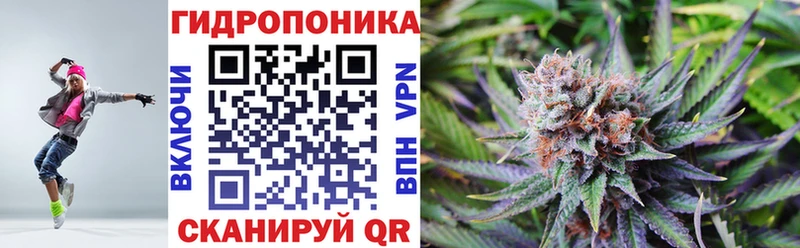 darknet состав  Куртамыш  МАРИХУАНА Amnesia  OMG ONION 